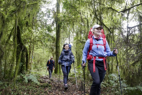 El parque Nacional Aconquija es más grande